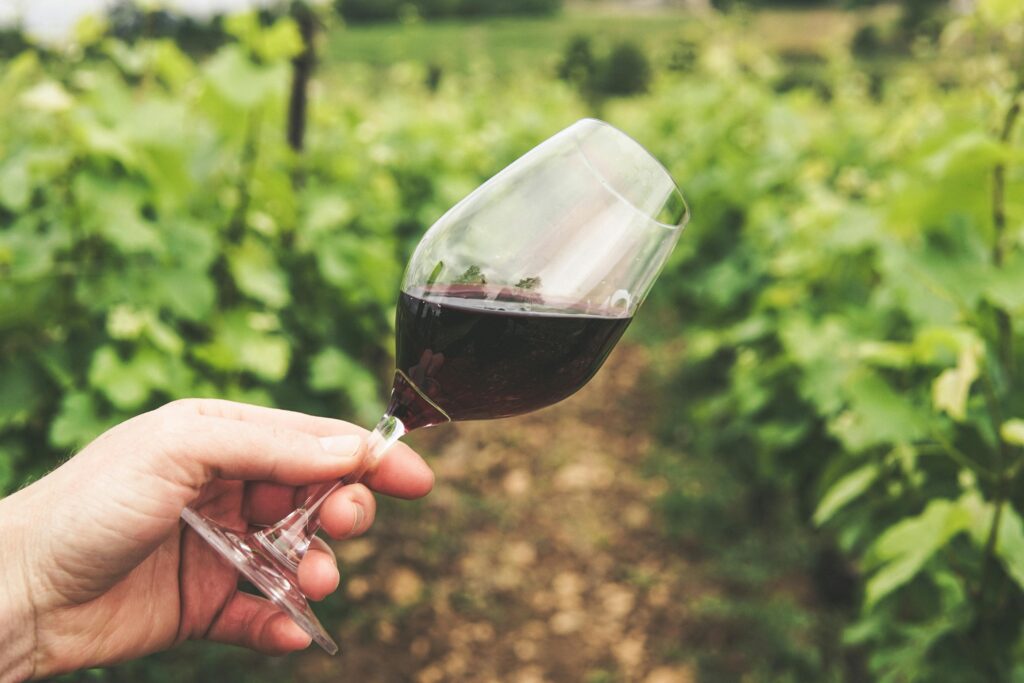 pexels-grape-things-2954924